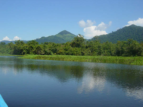 Bocas del Polochic Wildlife Reserve